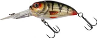 Molix Sculpo DR Rattlin Floating 5.5cm - 